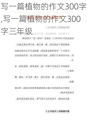 写一篇植物的作文300字,写一篇植物的作文300字三年级