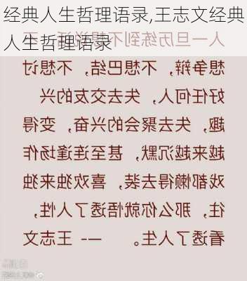 经典人生哲理语录,王志文经典人生哲理语录