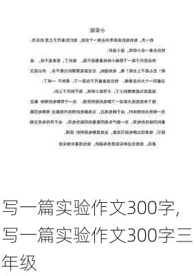 写一篇实验作文300字,写一篇实验作文300字三年级