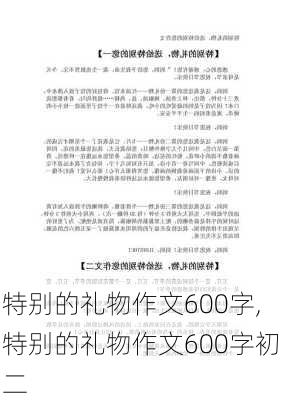 特别的礼物作文600字,特别的礼物作文600字初二