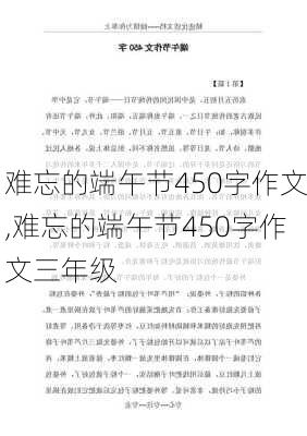 难忘的端午节450字作文,难忘的端午节450字作文三年级