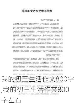 我的初三生活作文800字,我的初三生活作文800字左右