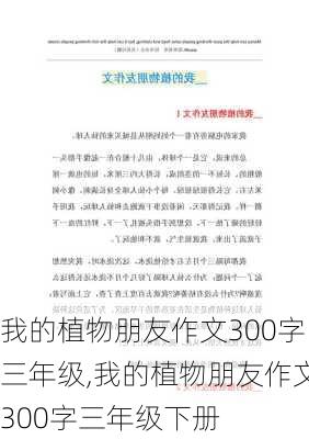 我的植物朋友作文300字三年级,我的植物朋友作文300字三年级下册