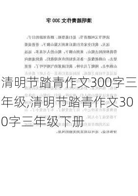 清明节踏青作文300字三年级,清明节踏青作文300字三年级下册