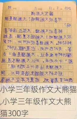 小学三年级作文大熊猫,小学三年级作文大熊猫300字