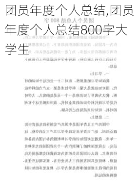 团员年度个人总结,团员年度个人总结800字大学生