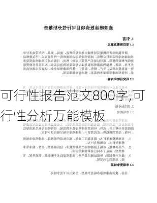 可行性报告范文800字,可行性分析万能模板