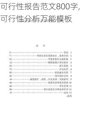 可行性报告范文800字,可行性分析万能模板