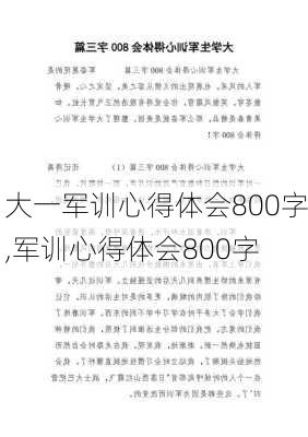 大一军训心得体会800字,军训心得体会800字