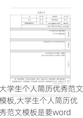 大学生个人简历优秀范文模板,大学生个人简历优秀范文模板是要word