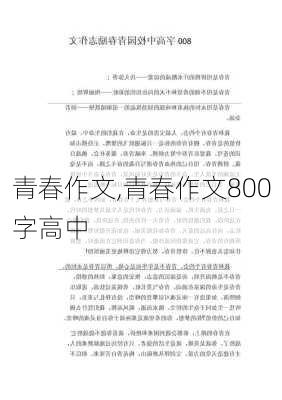 青春作文,青春作文800字高中