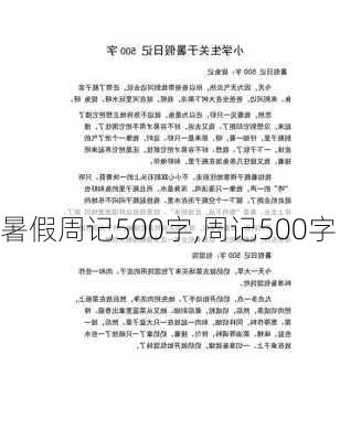 暑假周记500字,周记500字