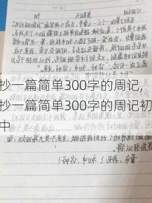 抄一篇简单300字的周记,抄一篇简单300字的周记初中