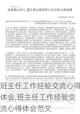 班主任工作经验交流心得体会,班主任工作经验交流心得体会范文