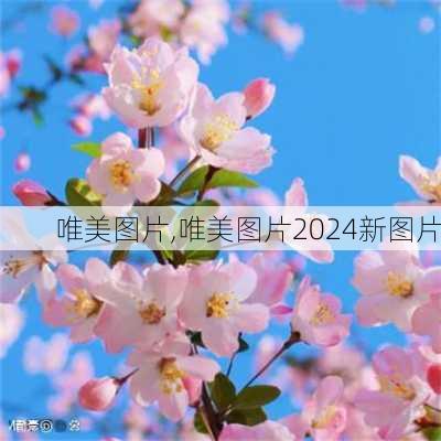 唯美图片,唯美图片2024新图片