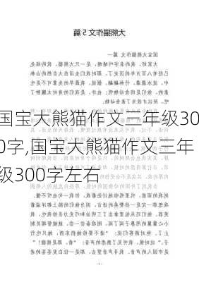 国宝大熊猫作文三年级300字,国宝大熊猫作文三年级300字左右