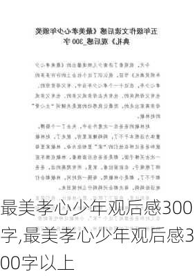 最美孝心少年观后感300字,最美孝心少年观后感300字以上