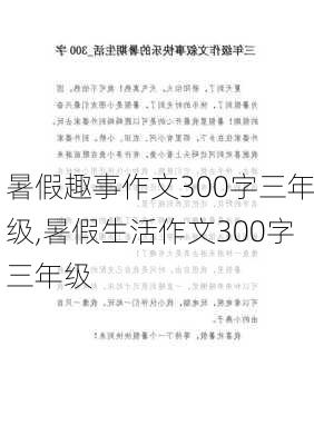 暑假趣事作文300字三年级,暑假生活作文300字三年级