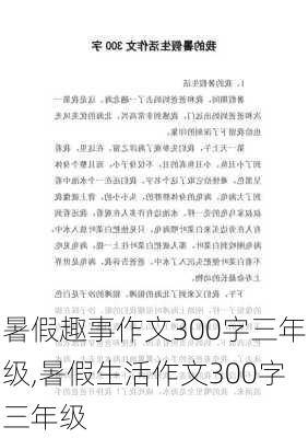 暑假趣事作文300字三年级,暑假生活作文300字三年级