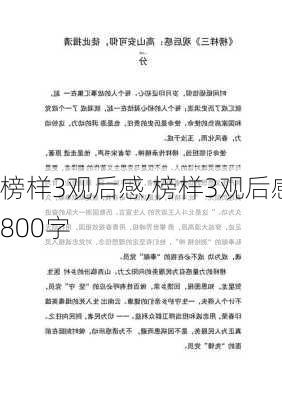 榜样3观后感,榜样3观后感800字