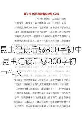 昆虫记读后感800字初中,昆虫记读后感800字初中作文