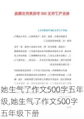 她生气了作文500字五年级,她生气了作文500字五年级下册