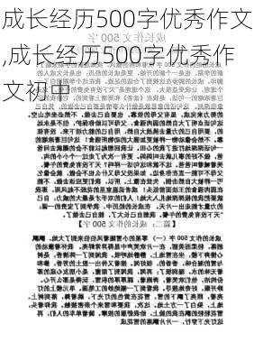 成长经历500字优秀作文,成长经历500字优秀作文初中