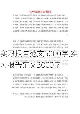 实习报告范文5000字,实习报告范文3000字