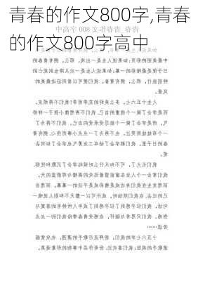 青春的作文800字,青春的作文800字高中