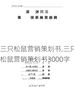 三只松鼠营销策划书,三只松鼠营销策划书3000字