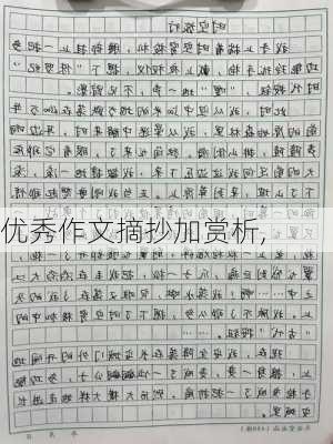 优秀作文摘抄加赏析,