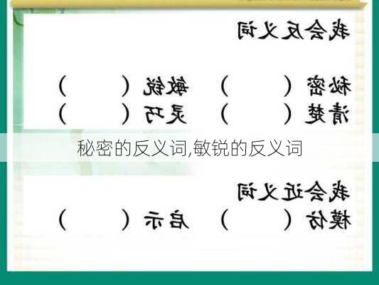 秘密的反义词,敏锐的反义词