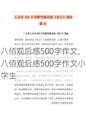 八佰观后感500字作文,八佰观后感500字作文小学生