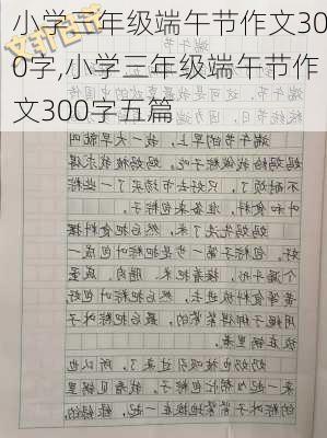 小学三年级端午节作文300字,小学三年级端午节作文300字五篇