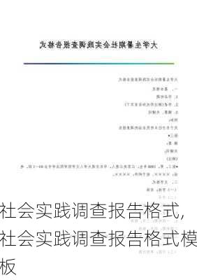 社会实践调查报告格式,社会实践调查报告格式模板