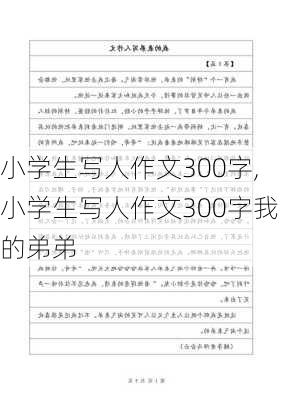 小学生写人作文300字,小学生写人作文300字我的弟弟