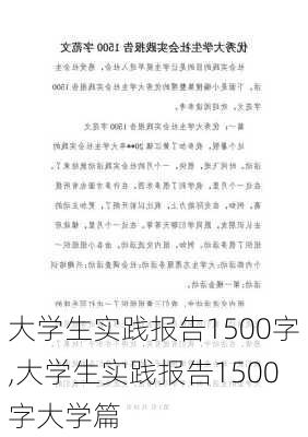 大学生实践报告1500字,大学生实践报告1500字大学篇