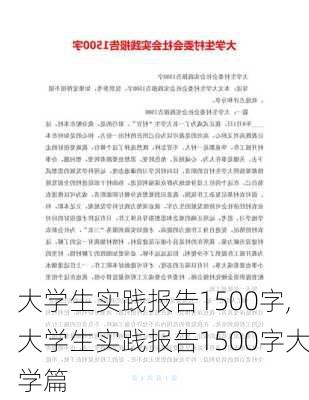 大学生实践报告1500字,大学生实践报告1500字大学篇