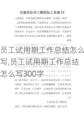 员工试用期工作总结怎么写,员工试用期工作总结怎么写300字