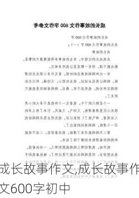 成长故事作文,成长故事作文600字初中