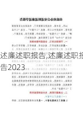 述廉述职报告,述廉述职报告2023