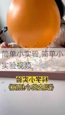 简单小实验,简单小实验视频