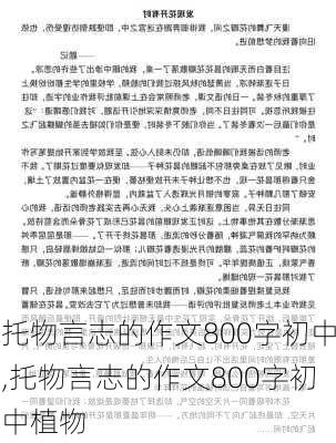 托物言志的作文800字初中,托物言志的作文800字初中植物