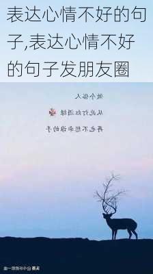 表达心情不好的句子,表达心情不好的句子发朋友圈