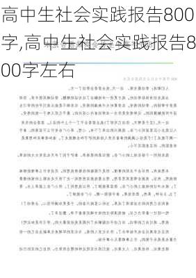 高中生社会实践报告800字,高中生社会实践报告800字左右