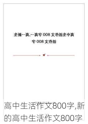 高中生活作文800字,新的高中生活作文800字