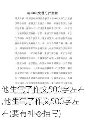 他生气了作文500字左右,他生气了作文500字左右(要有神态描写)