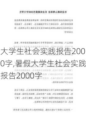 大学生社会实践报告2000字,暑假大学生社会实践报告2000字