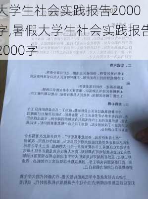 大学生社会实践报告2000字,暑假大学生社会实践报告2000字