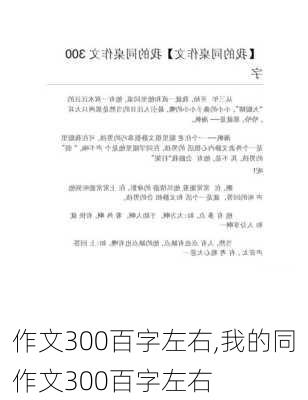 作文300百字左右,我的同作文300百字左右